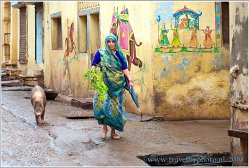 Bundi